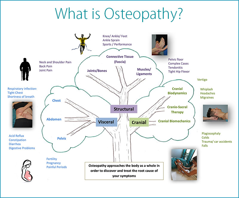What is Osteopathy? A visual diagram