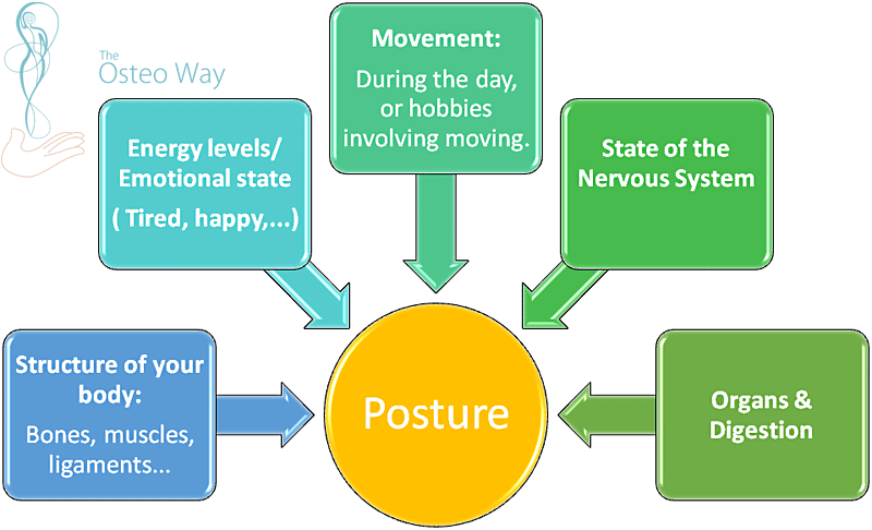 What affects our posture